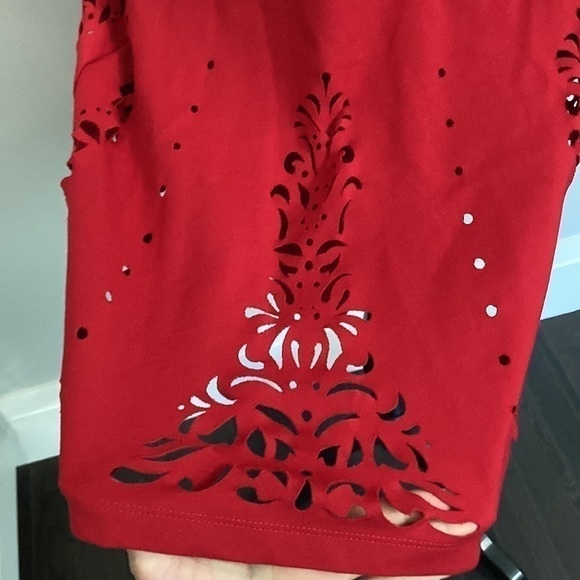 Black SWAN Red Fit an Eyelet Flare Sleeveless Dress Medium - Picture 6 of 11